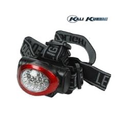LEDS