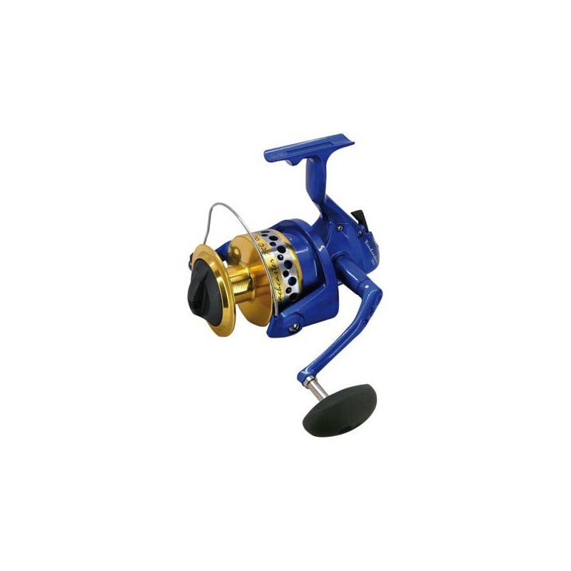 BEACHCASTER