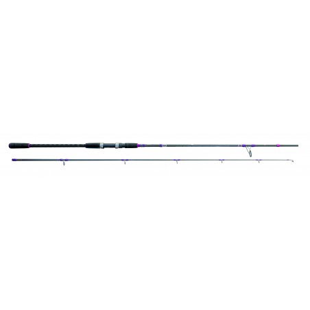 CAÑA EXPLORER SHORE JIG EXTREME 50-120