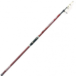 CAÑA IRIDIUM DREAMER 4.20 M