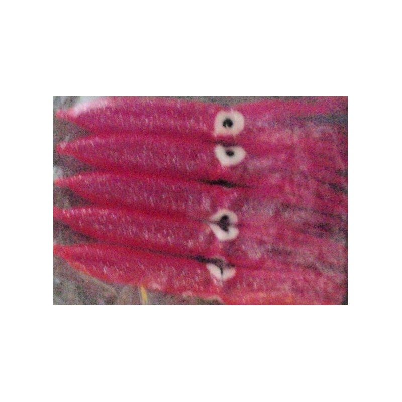 CALAMAR TTERSON 9cm FUCSIA