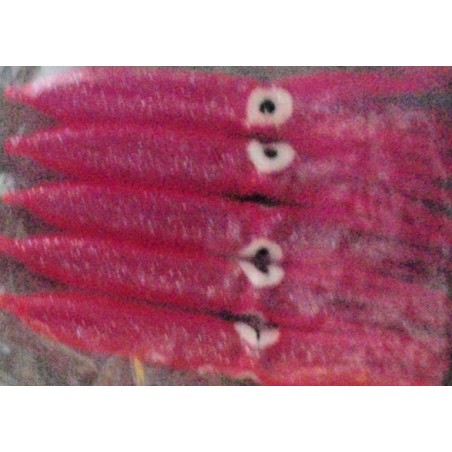 CALAMAR TTERSON 9cm FUCSIA