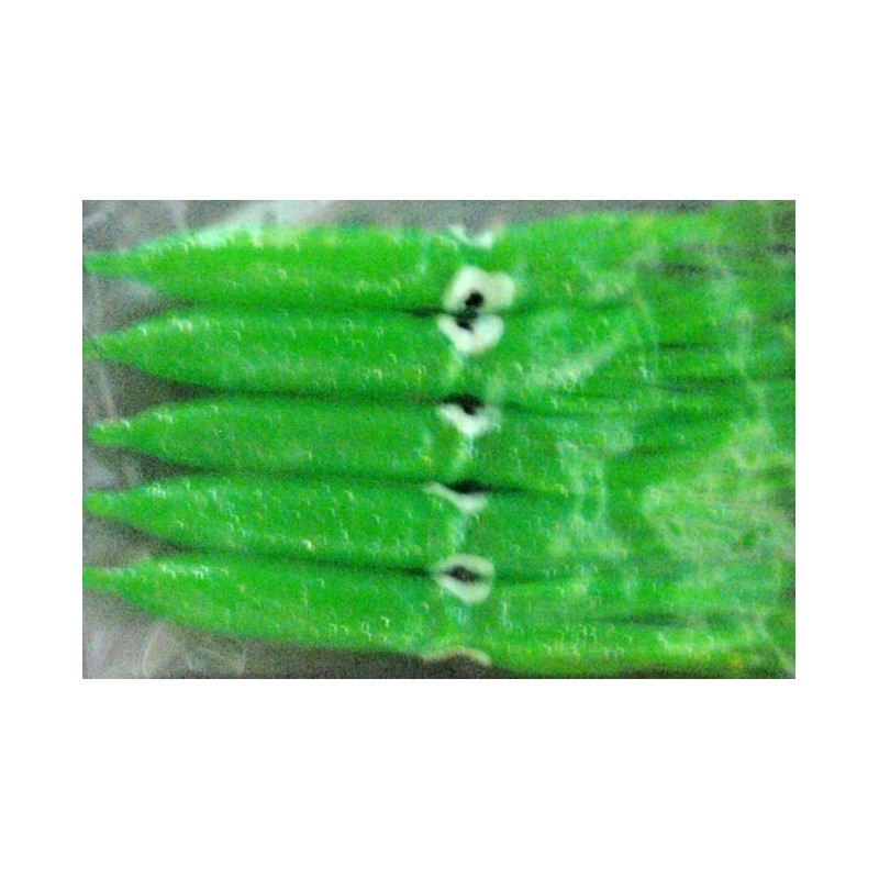 CALAMAR TTERSON 9cm VERDE