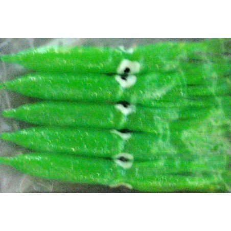 CALAMAR TTERSON 9cm VERDE