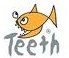 TEETH